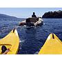 Book yachts online - other - Gulet Bibi Aysegul - Bibi Aysegul - rent