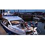 Book yachts online - motorboat - Sealine F430 - BLUE LAGOON - rent