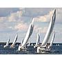 Book yachts online - sailboat - Maxus 33.1 RS Standard - LEROS - rent