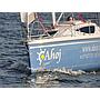 Book yachts online - sailboat - Maxus 22 Standard - IRIS - rent