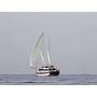 Book yachts online - other - Gulet Athena - Athena - rent