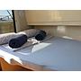 Book yachts online - motorboat - Damor 700 - Ema - rent