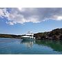 Book yachts online - motorboat - Prestige 36 Fly - Fortuna - rent