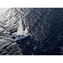 Book yachts online - catamaran - Lagoon 380 - Dattilo - rent
