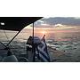 Book yachts online - sailboat - Sun Odyssey 410 - Circe - rent
