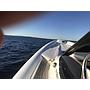 Book yachts online - motorboat - Magazzu' M11 Coupe - Ice Beat - rent