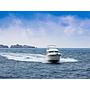 Book yachts online - motorboat - Prestige 42 - Marko - rent