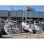 Book yachts online - sailboat - Cyclades 43.3 - Tecno Sail - rent