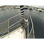 Book yachts online - sailboat - Bavaria 46 Cruiser - Cvita - BT - rent