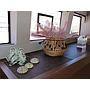 Book yachts online - powercatamaran - Lagoon 630 - Dragò - rent