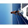 Book yachts online - catamaran - Saba 50 - Tiziano - rent