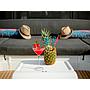 Book yachts online - catamaran - Lagoon 46 - ALICE - rent
