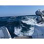 Book yachts online - catamaran - Bali 4.3 - Carpe Ventum - rent