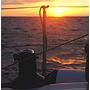 Book yachts online - sailboat - Salona 45 - Mima - rent