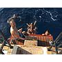 Book yachts online - sailboat - Vismara V71 - Red Carpet - rent