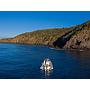 Book yachts online - motorboat - Nuova Jolly Prince 38 Sport Cabin - Tiger Lily - rent