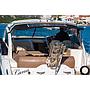 Book yachts online - motorboat - Sessa C38 - Lana - rent