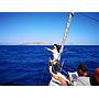 Book yachts online - sailboat - Elan 384 Impression - NAIADA bareboat - rent