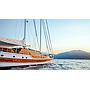 Book yachts online - other - Gulet - Wicked felina - rent