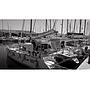 Book yachts online - catamaran - Lagoon 380 - Dino - rent