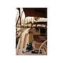 Book yachts online - sailboat - Elan 50 Impression - Dimitra - rent