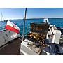 Book yachts online - catamaran - Saba 50 [8 CAB] - Lamela LA - rent