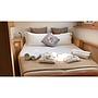 Book yachts online - catamaran - Lagoon 450F (A/C+WaterMaker+GEN) - Sunshine - rent