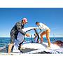 Book yachts online - catamaran - Excess 11 - PANCO - rent