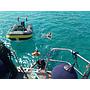 Book yachts online - sailboat - Dynamique 62 - Osyan - rent