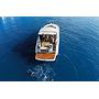Book yachts online - motorboat - Bavaria S40 Coupe - Arcadia - rent