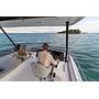 Book yachts online - powercatamaran - MY40 - Beluga - rent